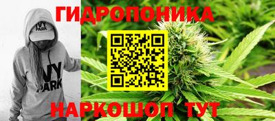 сатива Жуковский