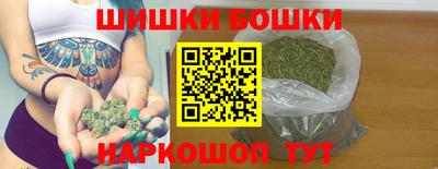 индика Бийск