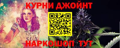 сатива Жуковский