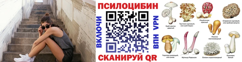 цена наркотик Острогожск ОМГ ОМГ ссылка Псилоцибиновые грибы GOLDEN TEACHER