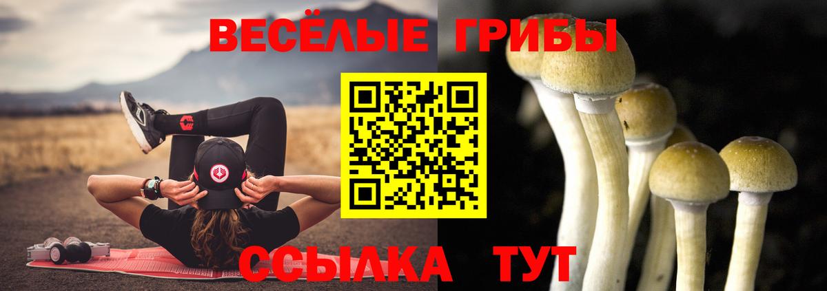 Галлюциногенные грибы Cubensis  Вход с VPN  Галлюциногенные грибы Psilocybine cubensis  Острогожск 